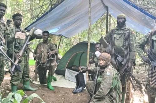 Nord-Kivu : « Les opérations conjointes FARDC-UPDF ne présentent plus la même intensité face aux exactions de l'ADF » (Rémy Mukweso)