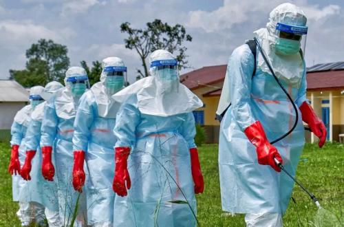 Ebola dans l'Est de la RDC : la riposte médicale à l'épreuve de la guerre et des zones rebelles