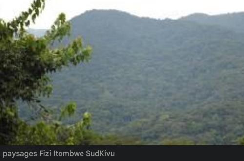 Sud-Kivu : affrontements à Kalingi entre les FARDC et les combattants du MRDP-Twirwaneho/AFC-M23