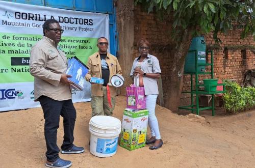 Ebola à Bukavu : « Gorilla Doctors » remet des équipements de prévention au Parc National de Kahuzi-Biega