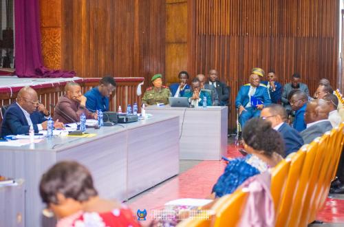 Statut des anciens combattants, devant la commission mixte Défense et Sécurité ainsi que Socio-culturelle, Eliezer Ntambwe défend une réforme majeure