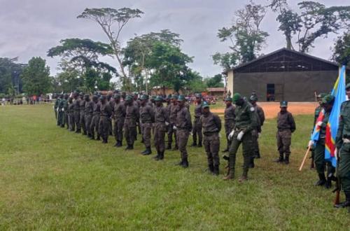 Ituri : un écogarde tué dans une attaque des ADF-MTN contre la Réserve de Faune à Okapis