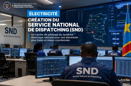 RDC : création du Service National de Dispatching pour piloter le système électrique