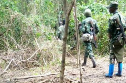 Ituri : un combattant ADF neutralisé lors d’affrontements avec les FARDC à Zanga