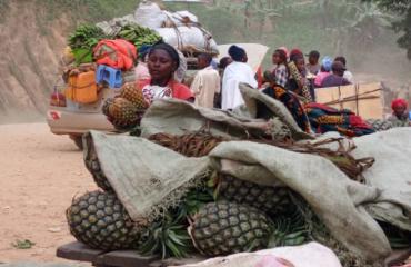 Beni/Sur la route des ananas : à Maboya, les femmes tracent leur destin
