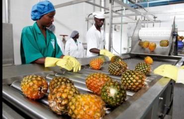 ZLECAf : une opportunité de certification ouverte aux entreprises