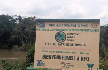 Ituri : 3 écogardes de l'ICCN assassinés dans une attaque armée à la RFO