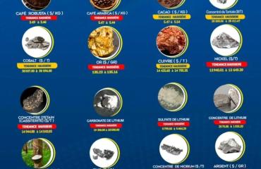 RDC : le cuivre et le cacao en hausse, le nickel, l'or et plusieurs produits du lithium en baisse (Mercuriale)