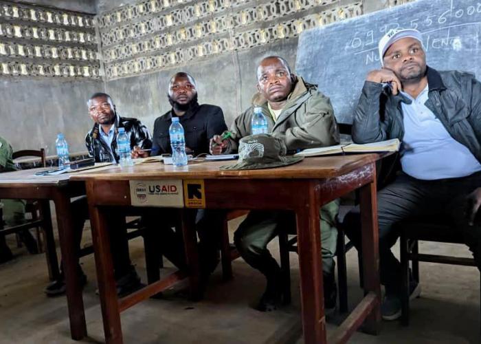 Nord-Kivu : l'ICCN compte réintroduire une nouvelle souche de gorilles au Mont Thsiabirimu