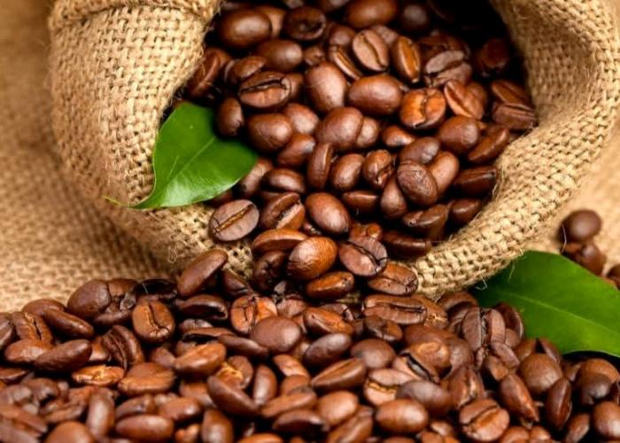 Malgré la persistance de l'insécurité, le Nord-Kivu compte 65 000 producteurs de cacao