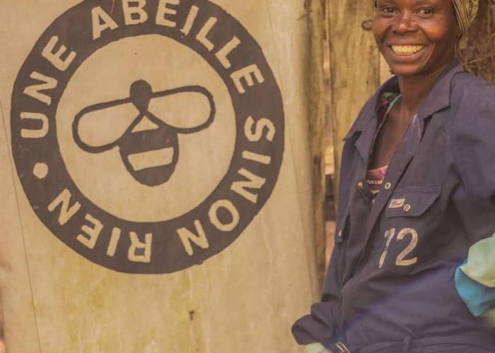 Journée Internationale des Abeilles : À Goma, la guerre a paralysé le travail des apiculteurs (Reportage)