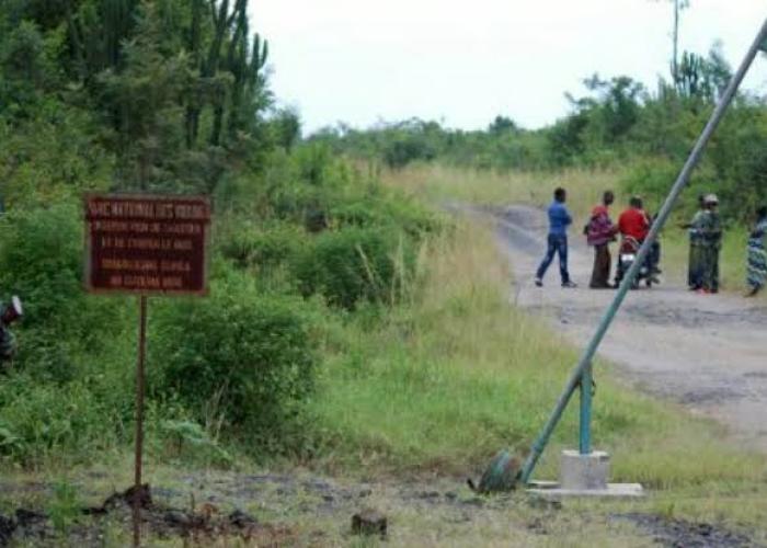 Nord-Kivu : le M23 progresse vers Beni, inquiétudes sur un nouveau front à Walikale