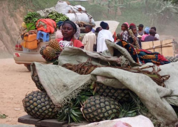 Beni/Sur la route des ananas : à Maboya, les femmes tracent leur destin
